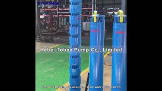 Hydroman® Submersible Water Pump for Clean Water [upl. by Ahsiei361]