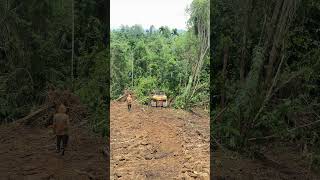 Land Clearing Precision D6R XL Bulldozer Best Practices dozers [upl. by Nnairrek383]