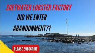 Soetwater Lobster Crayfish Factory Kommetjie  Misty Cliffs  Cape Town  South Africa 🇿🇦 [upl. by Khudari]