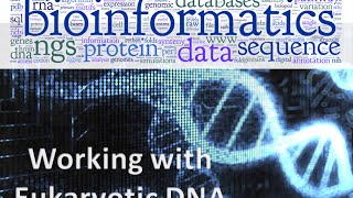 Bioinformatics lecture 9 working with eukaryotic DNA practical bioinformatics [upl. by Shandie]