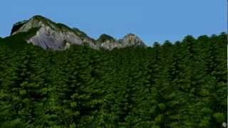 3D model of a real forest from airborne LiDAR [upl. by Yklam117]