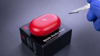 Beats Studio Buds Wireless Noise Cancelling Earbuds Unboxing  ASMR [upl. by Popele]