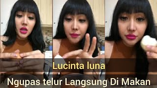 Ngupas Telur ala LUCINTA LUNA Langsung di makan Telur ya [upl. by Elocel]