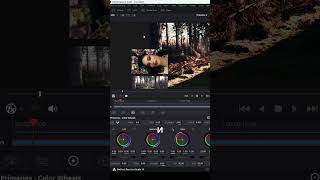 Как скопировать цветокоррекцию с картинки на видео  Davinci Resolve 19 [upl. by Nosliw]