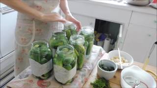 Canning Dill Pickles 2016 [upl. by Kurth155]