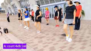 YA50 Shake It Off line dance DEMO By 不屑一顧 遲來的愛 [upl. by Galloway]