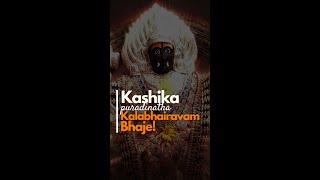 Kashika Puradinatha Kalabhairavam Bhaje [upl. by Moyers685]