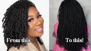 HOW MINI TWISTS GREW MY HAIR TO TAILBONE MY TOP HAIR GROWTH TIPS [upl. by Rimidalv444]