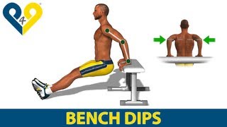 How to do triceps dips on bench [upl. by Debi559]