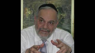 rav berel wein rav elchanan wasserman [upl. by Locke]