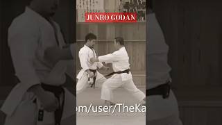 Junro Godan bunkai Masao Kagawa [upl. by Tegan416]