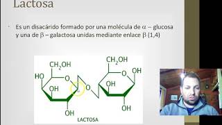 Química Biológica  Disacáridos [upl. by Tristam]