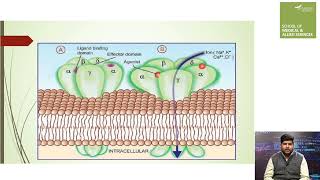 General Pharmacology Pharmacodynamics  quotWhat Drug Does to the Bodyquot [upl. by Sirrep772]