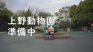 SAENSキン上野動物園準備中 【NHKmania】【0655mania】【2355mania】【Ueno Zoomania】【Sandwichmanmania】 [upl. by Frank]