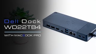 Top 5 Best Thunderbolt 4 Docking Stations 2025  Best Docking Station 2025 [upl. by Marius]