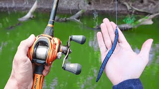 Catch 15x MORE Bass  TRY THIS Bass Fishing Tips [upl. by Llenal16]