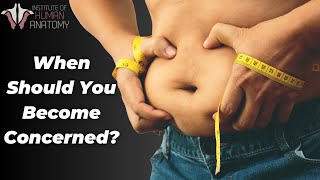 The Scary Truth About Visceral Body Fat [upl. by Loss]