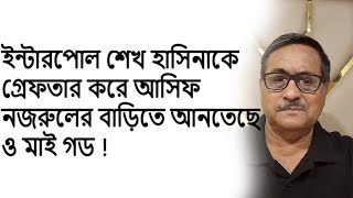 quotIs Interpol Really Bringing Sheikh Hasina to Asif Nazruls House Explainedquot [upl. by Felise]