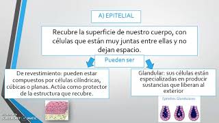 NIVEL TISULAR [upl. by Beichner]