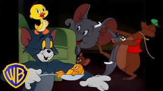 Tom amp Jerry  All the Animals in Tom amp Jerry 🐣🐭  Classic Cartoon Compilation  wbkids​ [upl. by Aicila]