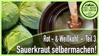 Sauerkraut ganz klassisch selber machen  Rot und Sauerkraut Teil 3 [upl. by Paquito697]