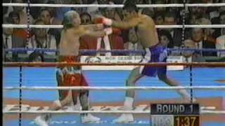 Oscar De la Hoya vs Jorge Paez [upl. by Carmelo]