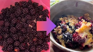 easy blackberry cobbler recipe you can’t mess this one up [upl. by Yrad]