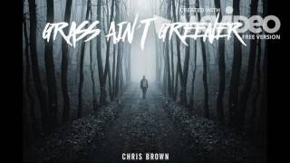 Chris Brown  Grass Aint Greener Bass boosted Instrumental [upl. by Alexandrina]