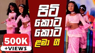 Piti Kota Kota Piti Kota Kota  Preschool Song  Concert  Nursery Rhyme  Sinhala  BoozDiary [upl. by Eihs]