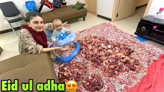 Qurbani ka Pehla din 😍  Eid ul adha Mubarak❤️ [upl. by Atiekal20]