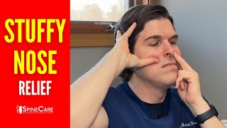 How to Instantly Relieve Sinus Congestion in the Nose [upl. by Langsdon]