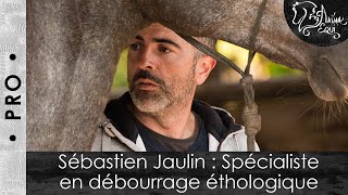 • PRO • Sébastien Jaulin  Spécialiste en débourrage éthologique [upl. by Tellford819]