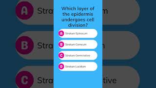 Which layer of the epidermis undergoes cell division [upl. by Ade146]