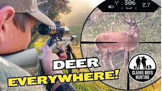 Most Stags weve ever seen Bow and Rifle hunt for a big red stag [upl. by Ardeen]