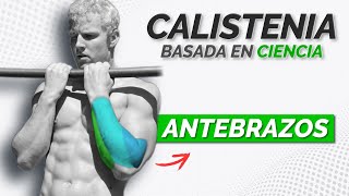 Los Mejores EJERCICIOS para ANTEBRAZOS de CALISTENIA [upl. by Annelise]