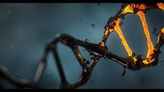 Revolutionizing Genetics Debunking Junk DNA  A Paradigm Shift Unveiled by John Mattick [upl. by Harwell]