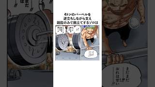 ㊗️60万再生！4トンのバーベルを支えながら腕立て伏せするゾロに関する雑学 ワンピース onepiece [upl. by Amias]