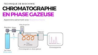 Chromatographie en phase gazeuse  Biochimie Facile [upl. by Nohsad]