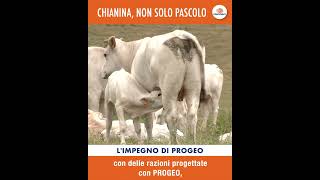 PROGEO 2024 Trequanda VIDEO 01 MASTER MP4 8Mbps 1 [upl. by Assela]