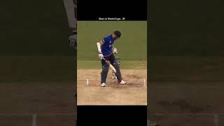 Mitchell Starc status video cricket australiancricketer cricketlover michelstarc cricketplayer [upl. by Ahsrats396]