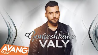 Valy  Gonjeshkake OFFICIAL VIDEO  ولی  گنجشکک [upl. by Ynabe]