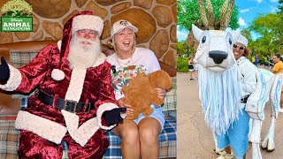 The Holidays at Disney’s Animal Kingdom Meeting Santa in Dinoland USA NEW Merry Menagerie amp More [upl. by Eliseo148]