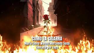 Como la cigarra  María Elena Walsh  Mercedes Sosa  Cantada por Luys [upl. by Nessej545]