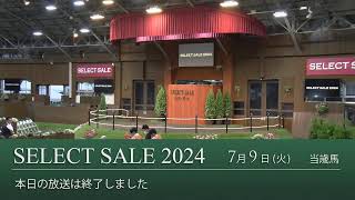 セレクトセール2024 生中継 ２日目 当歳馬 [upl. by Kissee734]