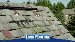 Long Roofing Spring Talking Shingles Commercial ESB Advertising [upl. by Leeda]