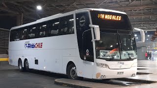 Busologia Chilena II  Turbus Pullman Bus Condor Bus y mas [upl. by Akcire]