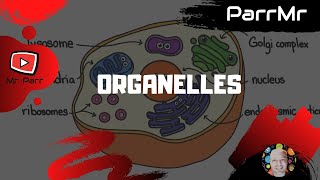 Organelles Song [upl. by Jasmina]