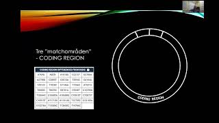 mtDNA  20241121 [upl. by Ymassej834]