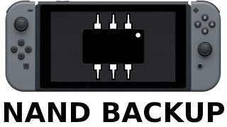 Nintendo Switch NAND Backup erstellen DeutschHD [upl. by Knox]