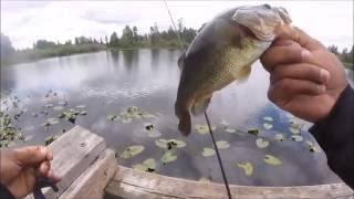 Lake Larsen Bass Fishing [upl. by Gilchrist]